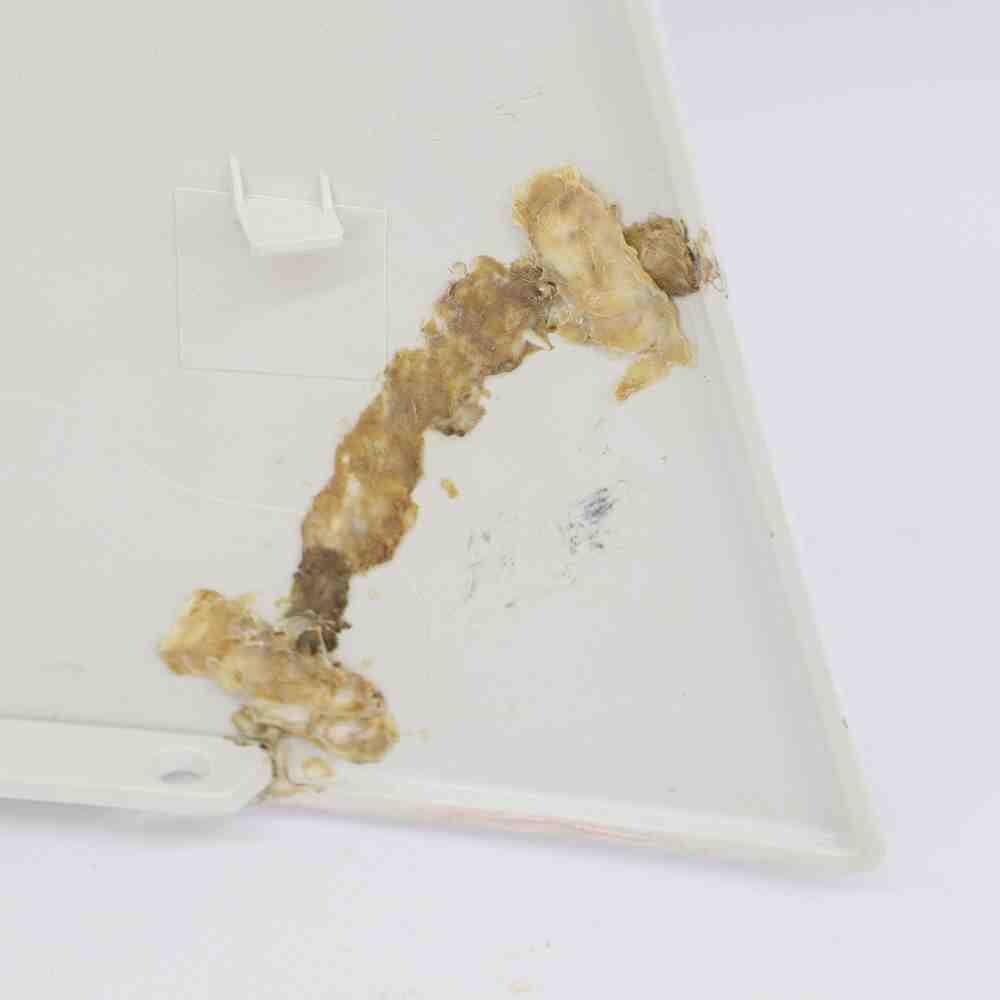 Брызговик RENAULT 395*590