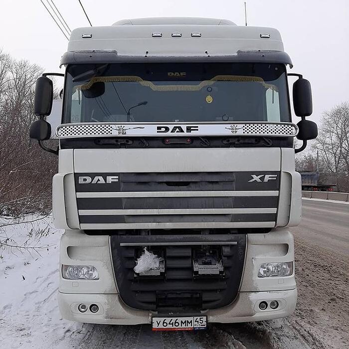 Защитная сетка под лобовое стекло DAF 105