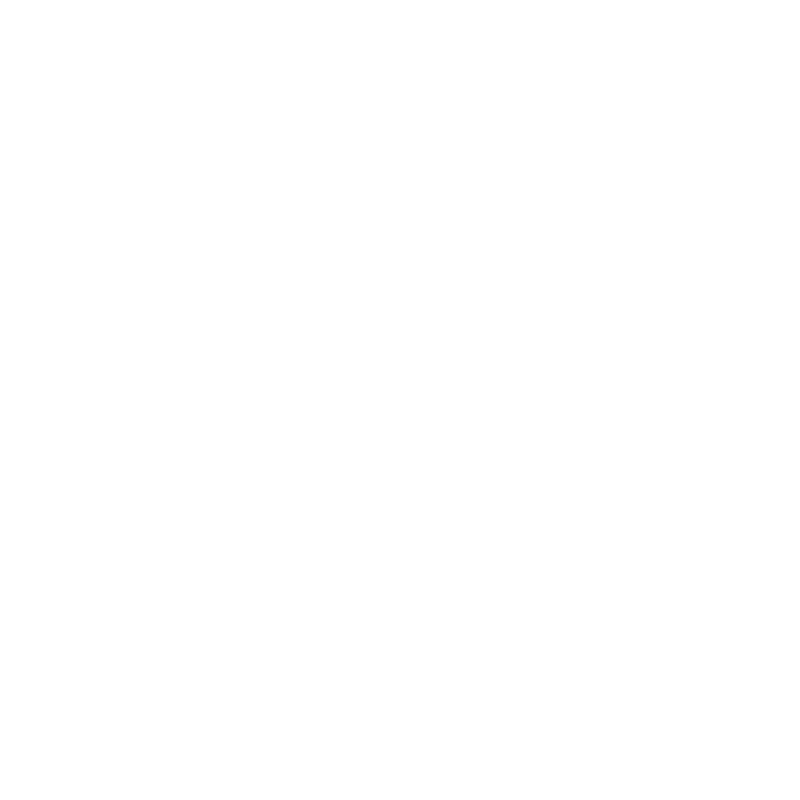 Вставка бампера L MAN TGS