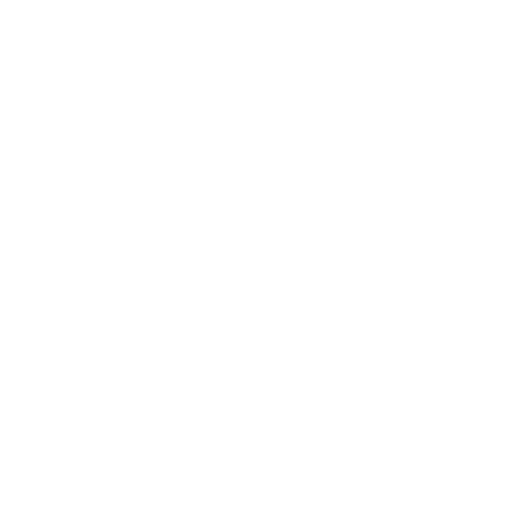 Ключ ступичний 110мм BPW SW