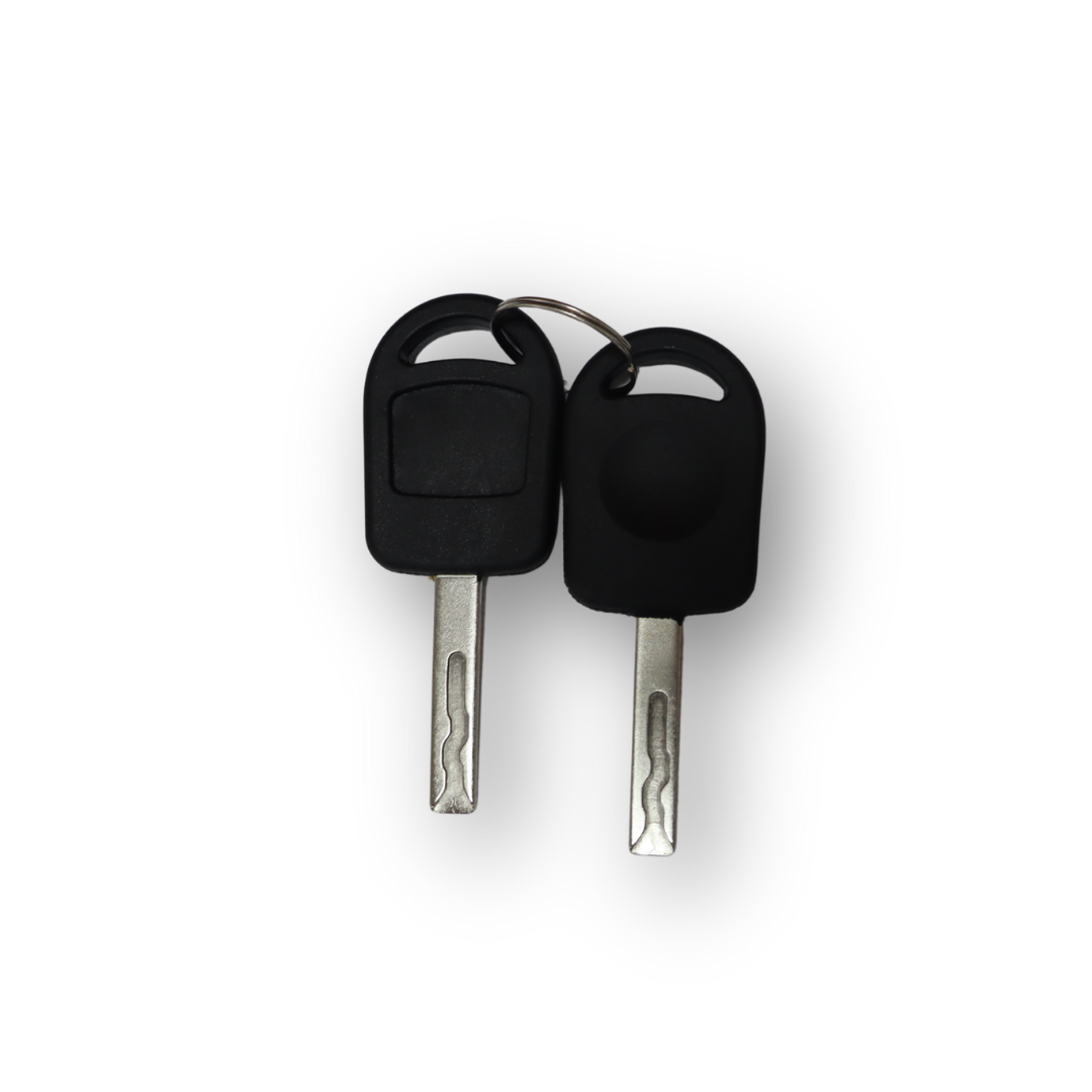 Ручка дверей MAN TGA MLSX /ліва/(два ключі + сердечник)