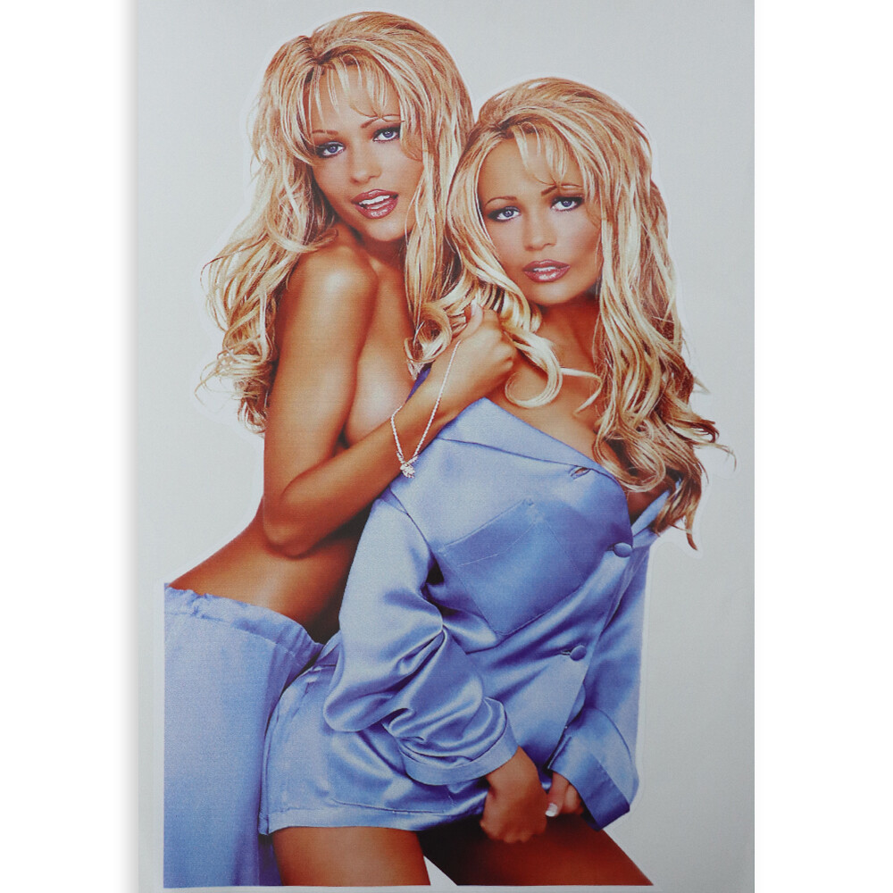 Наклейка девки 350*240 мм