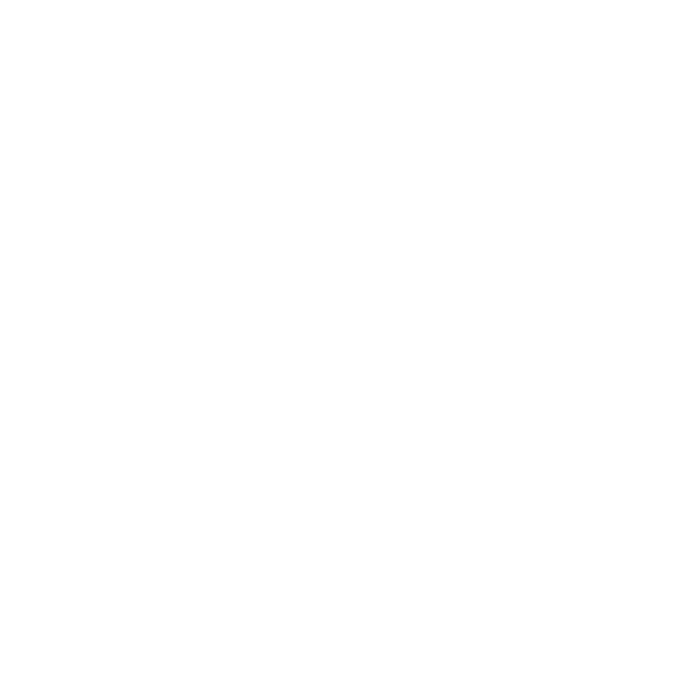 Чохол на сидіння Twin MAN TGX,TGA,TGL,TGM,TGS; (2007-2020) 2 ременя, водій та пасажир (Низький) коричнева алькантара - коричнева шкіра