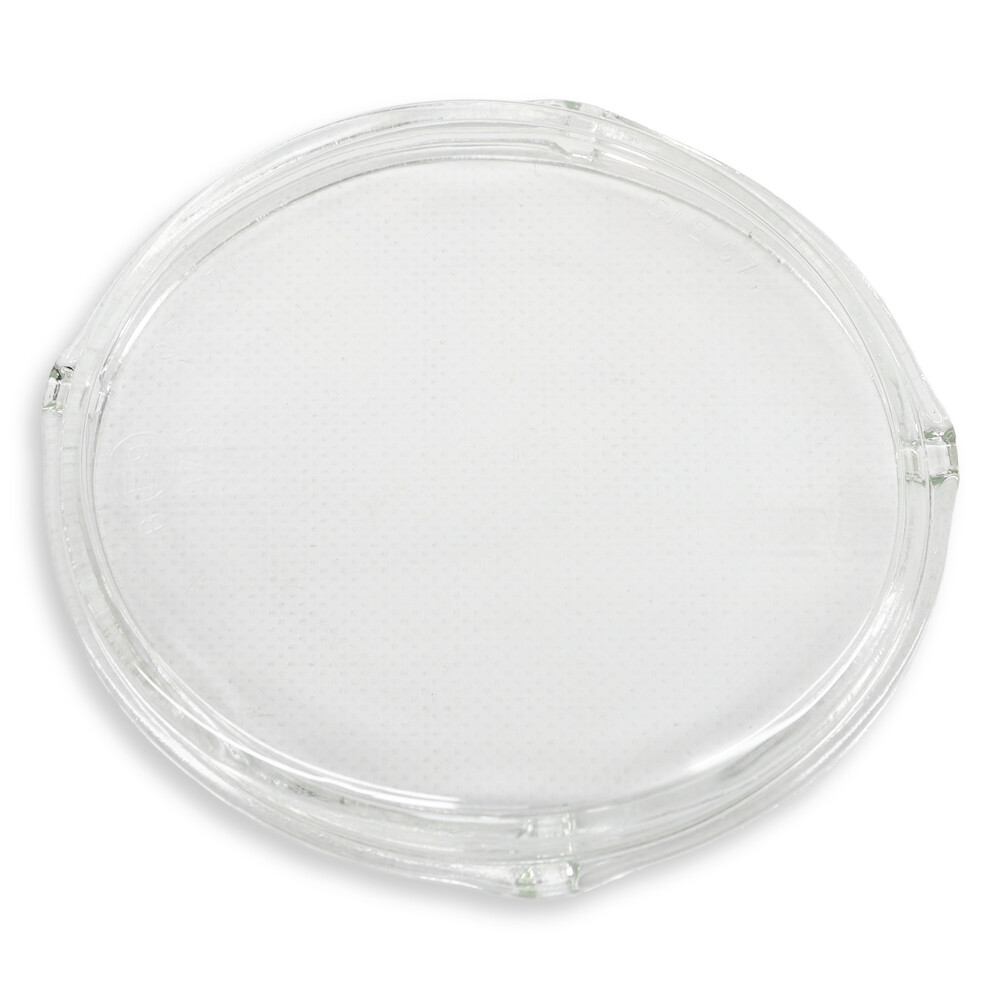 Скло протитуманної фари SCANIA R, P, G (2004-2019) ближнє світло, ліве-праве (TBM)