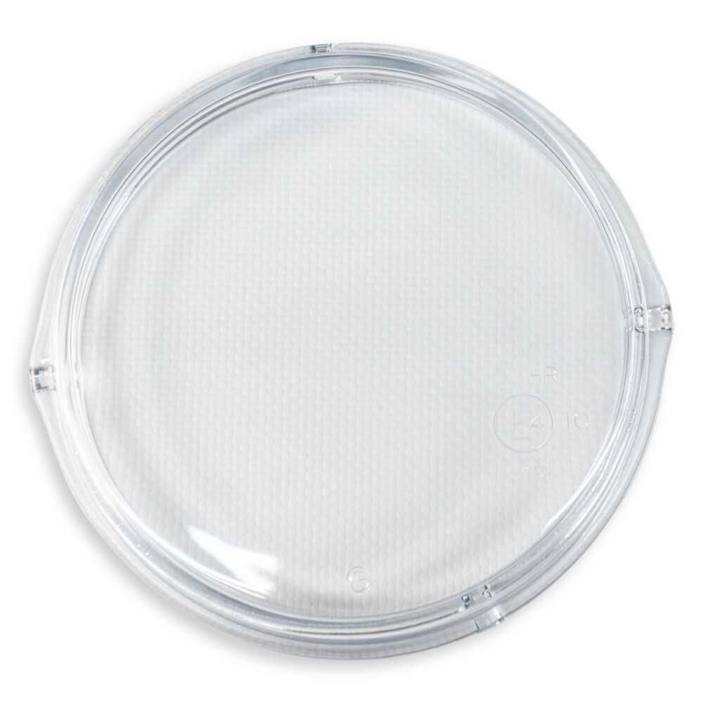 Стекло противотуманной фары SCANIA R, P, G (2004-2019) дальний свет, правая-левая (TANGDE)