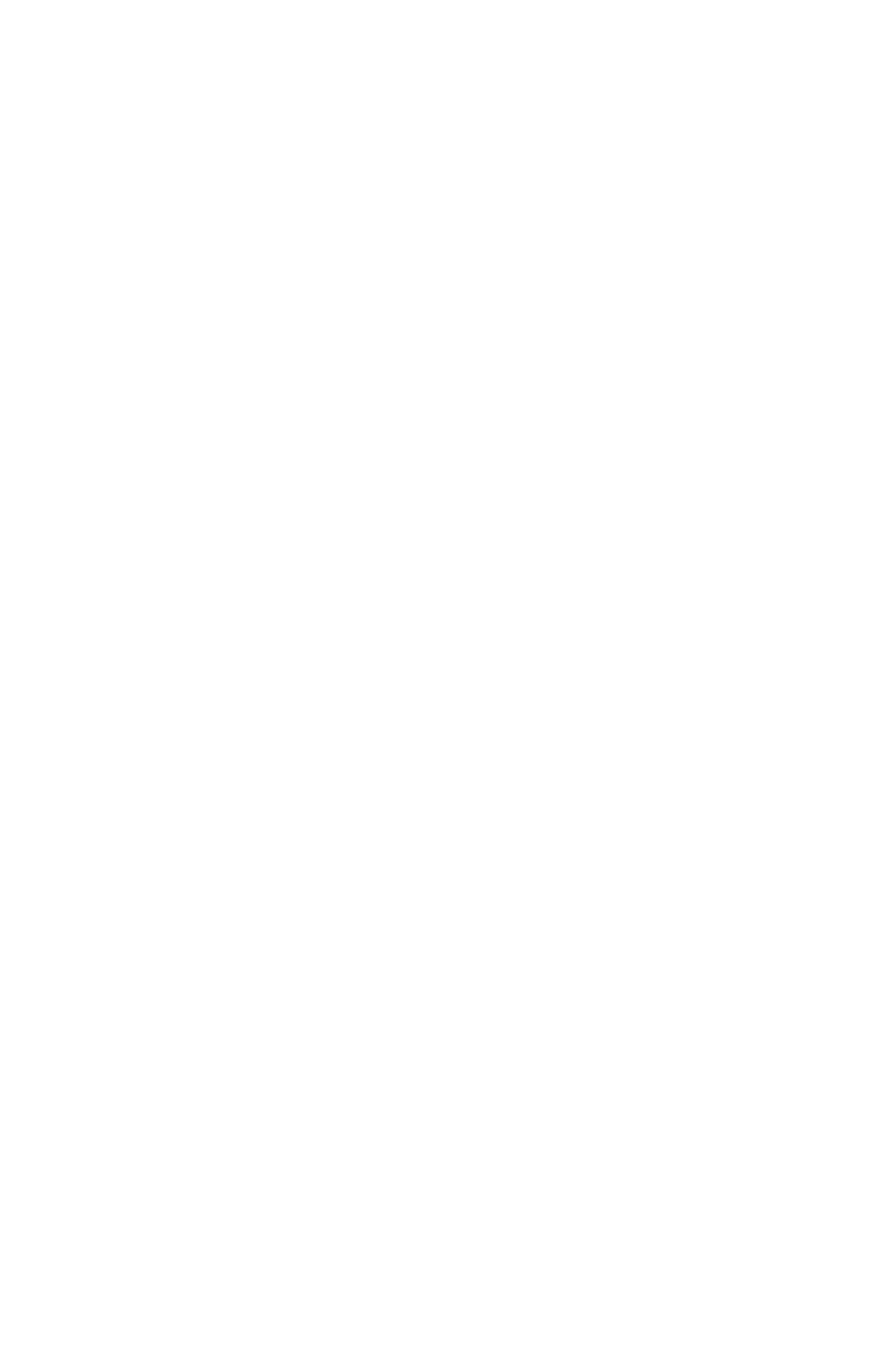 Чохол на сидіння Enterprise DAF XF105 106 XG CF85 LF (2013-2024) Чорний