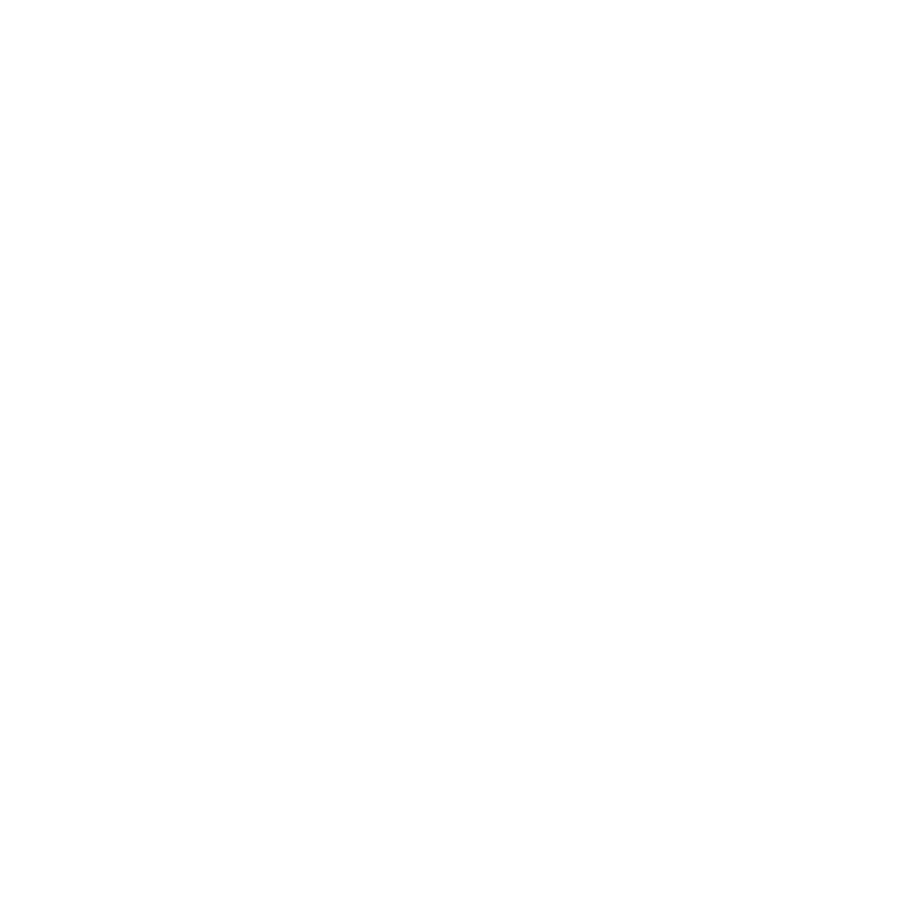 Чехол на сиденья Enterprise SCANIA R,G,P (2004-2017) водит. пилот - пасс. пилот  серый