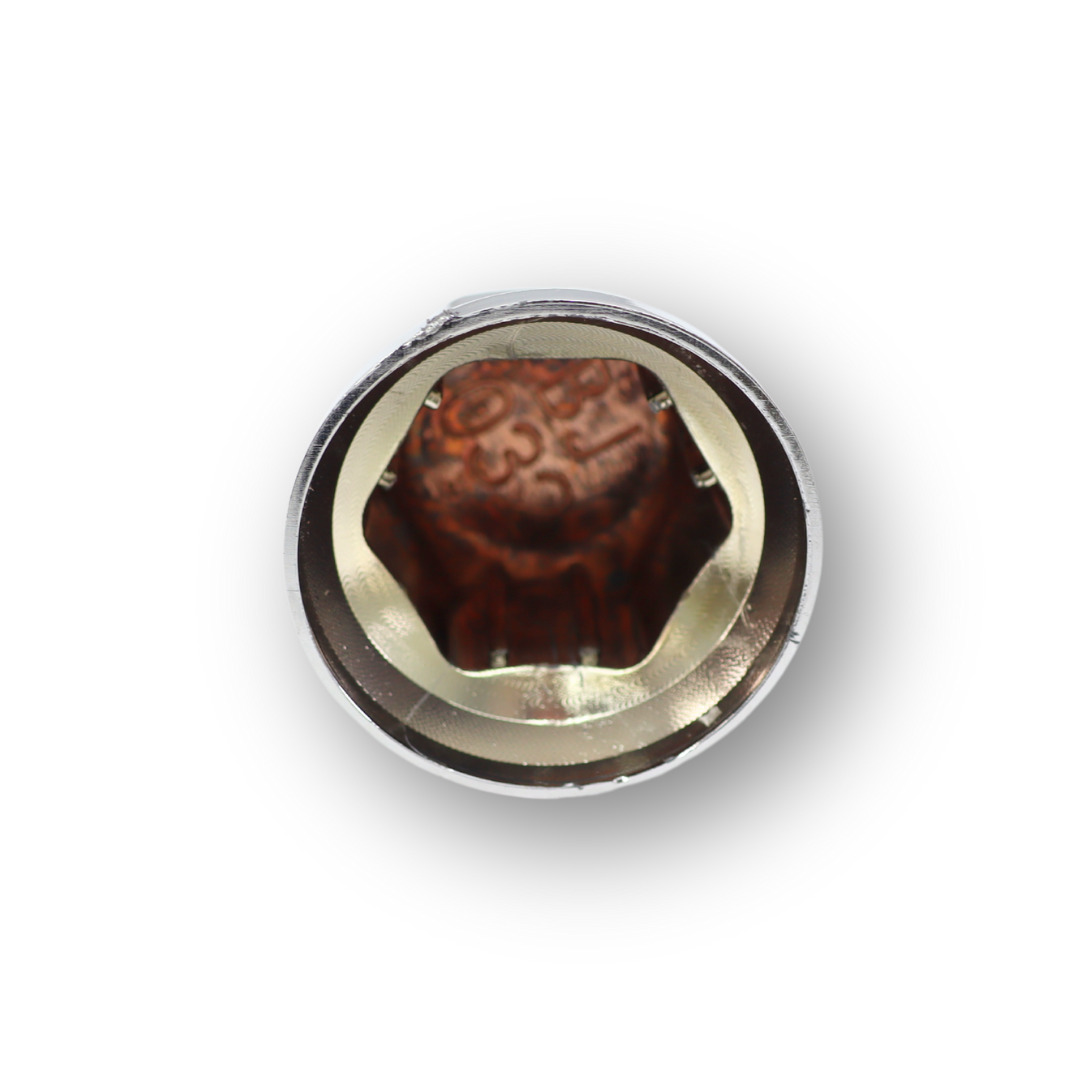 Колпачек на гайку 32 хром \AY-SAN\в упаковке 100шт Колпачек на гайку 32 хром \AY-SAN\в упаковке 100шт